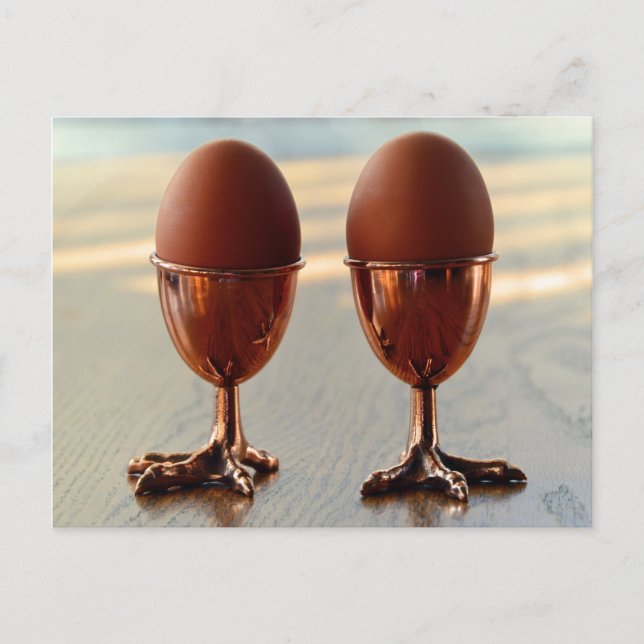Carte Postale Coupes d'oeufs de poulets de cuivre (Devant)