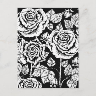 Carte Postale Coupez vos propres Roses