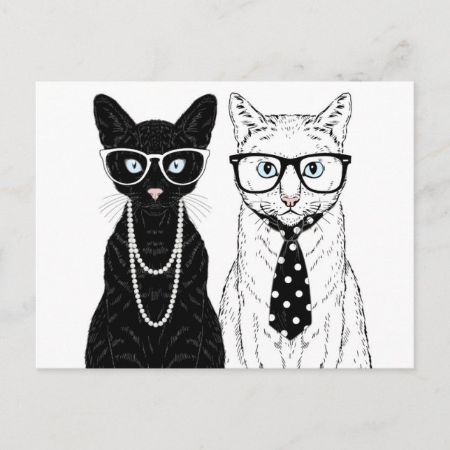 Carte Postale Couple de chats (Devant)