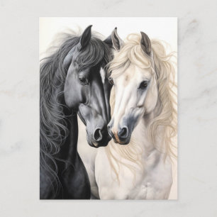 Carte Postale Couple de chevaux Cheval noir et blanc Postcrossin