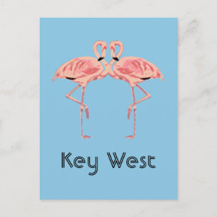 Carte Postale Couple de flamants roses de Key West Floride