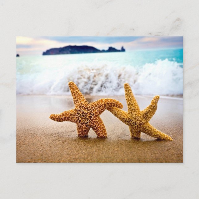 Carte Postale couple d'étoiles (Devant)