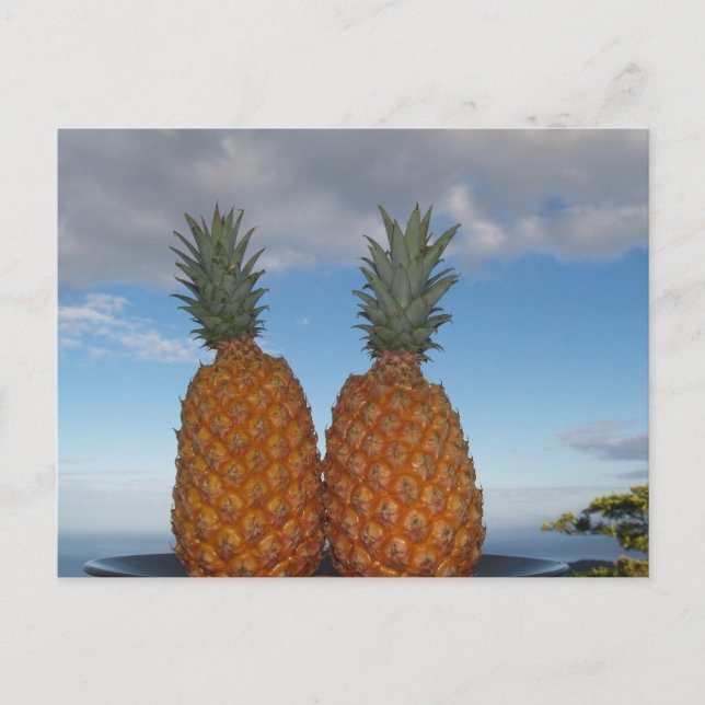 Carte Postale Couple tropical (Devant)
