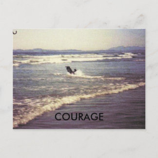 CARTE POSTALE COURAGE