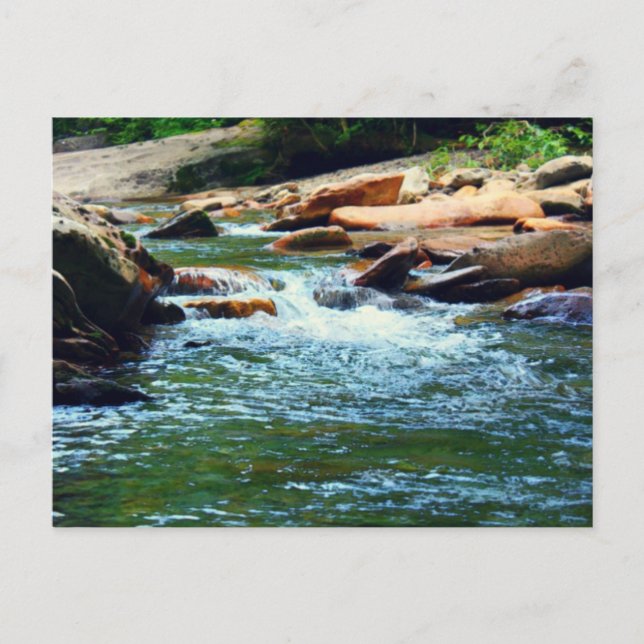 Carte Postale Courant du Tennessee (Devant)