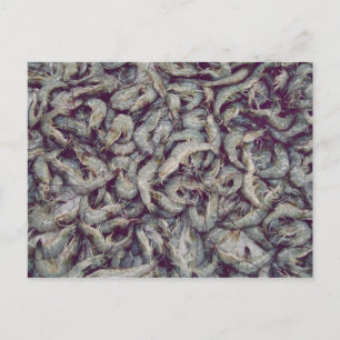 Carte Postale Courbes gris