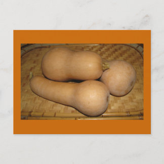 Carte Postale Courge de Butternut