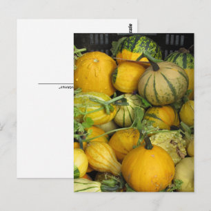 Carte postale - Courge d'été