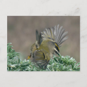 Carte postale Couronne dorée