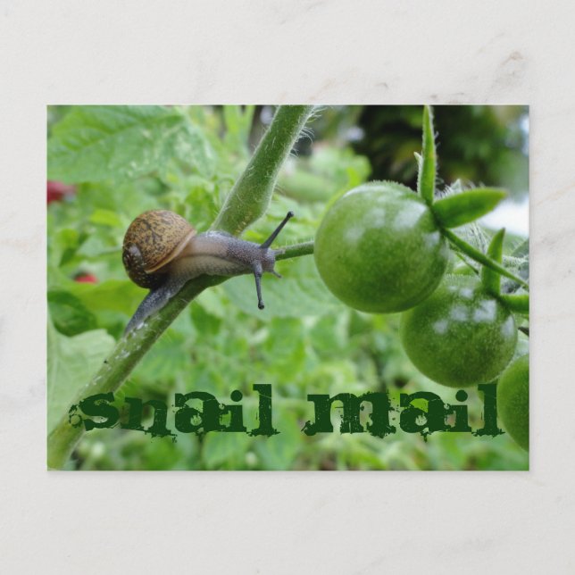 Carte postale Courrier (Devant)