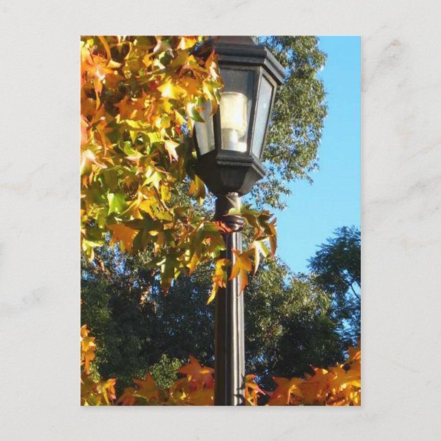 Carte Postale Courrier de lampe dans l'automne (Devant)