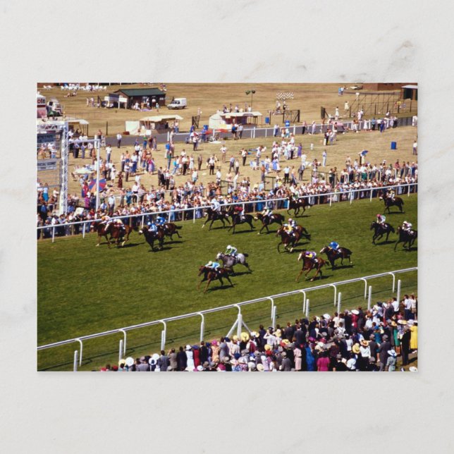 Carte Postale Course à cheval (Devant)