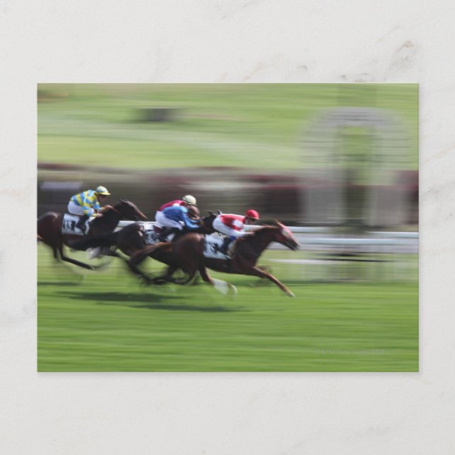 Carte Postale course à cheval (Devant)