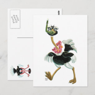 Carte Postale Course d'autruche dans le marais