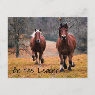 Carte Postale Course de chevaux sauvages à Woods