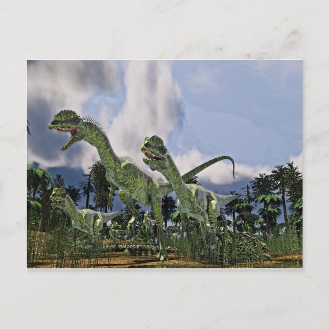 Carte Postale Course de Dilophosaurus (Devant)