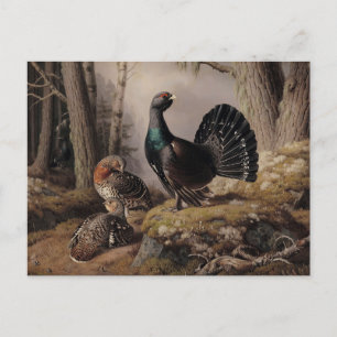 Carte Postale Courtisations de Ferdinand von Wright