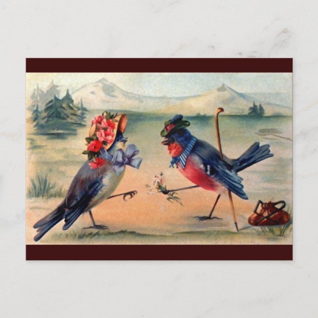 Carte Postale Courtship of Birds (Devant)