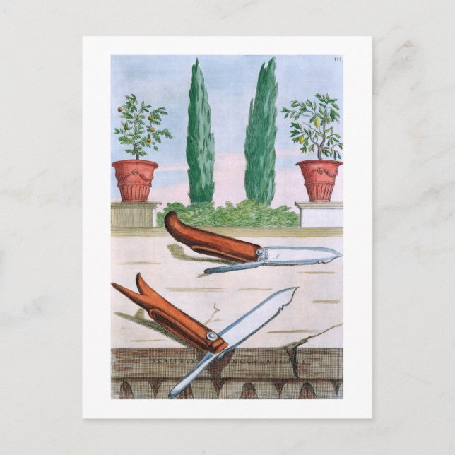 Carte Postale Couteau de jardinage, de 'Hesperides' par Giovanni (Devant)