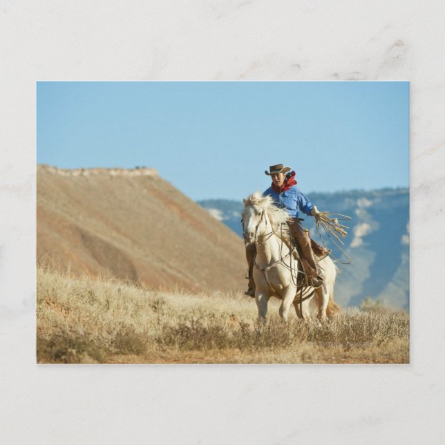 Carte Postale Cowboy 13 (Devant)