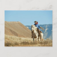 Cowboy 13