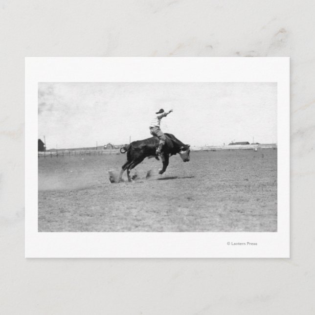 Carte Postale Cowboy à cheval sur un bouchon (Devant)