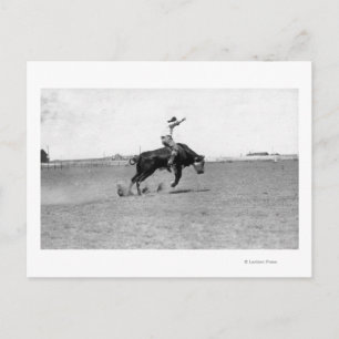 Carte Postale Cowboy à cheval sur un bouchon