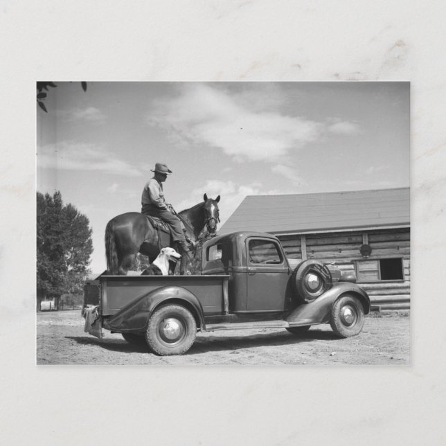 Carte Postale Cowboy avec cheval dans un camion (Devant)