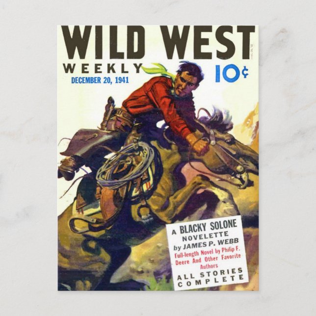 Carte Postale Cowboy Avec Cheval Sauvage (Devant)