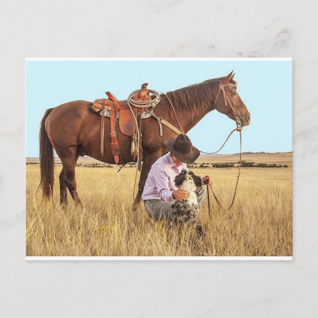 Carte Postale Cowboy, Cheval et Chien (Devant)