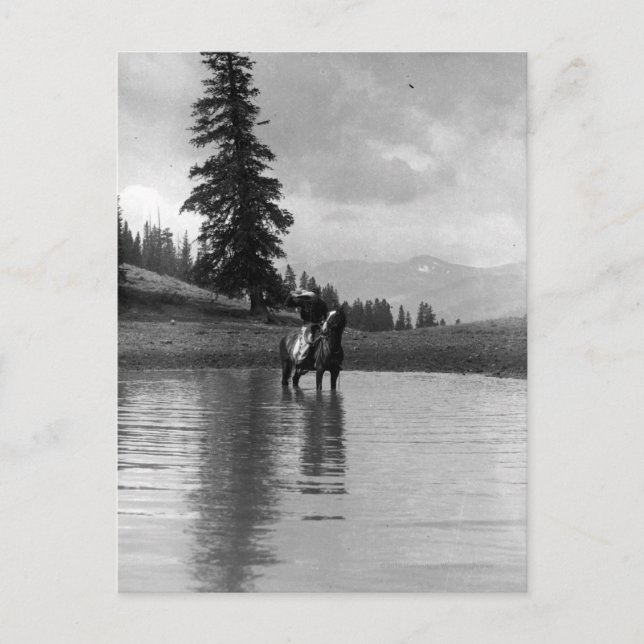 Carte Postale Cowboy dans un étang (Devant)