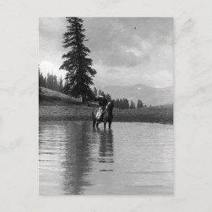Carte Postale Cowboy dans un étang