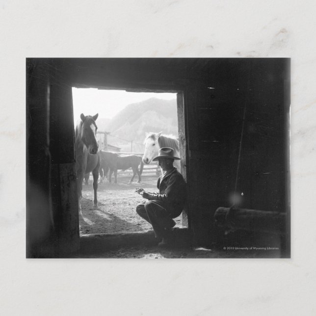 Carte Postale Cowboy dans une porte avec des chevaux (Devant)