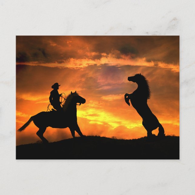 Carte Postale Cowboy et Wild Horse Pays d'élevage Western (Devant)