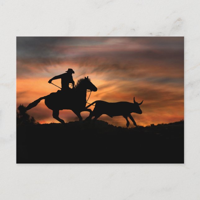 Carte Postale Cowboy Horse et Steer Southwestern Sunset Rodeo (Devant)