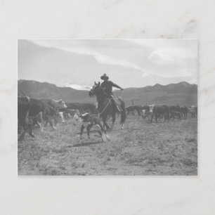 Carte Postale Cowboy qui fait un sabot pour la marque de printem