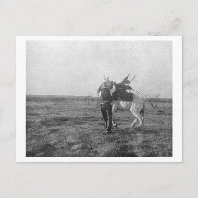 Carte Postale Cowboy "Red Saunders" Saddle a Bronco (Devant)