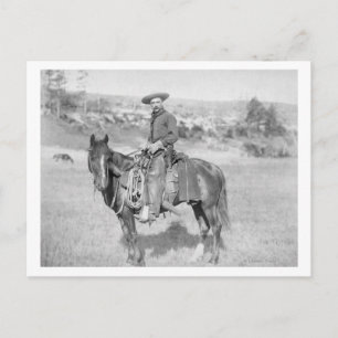 Carte Postale Cowboy sur son cheval photo Dakota du Sud