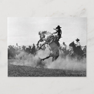 Carte Postale Cowboy sur un bronco cinglé