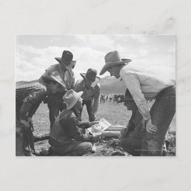 Carte Postale Cowboys regardant une magazine (Devant)