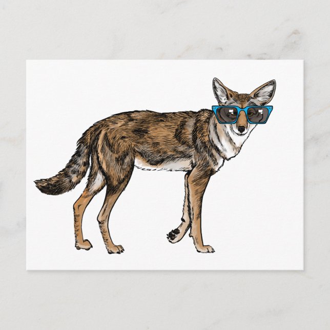 Carte Postale Coyote drôle de hippie avec des lunettes de soleil (Devant)