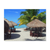 Cozumel Mexico Beach Cabine Palm Tree Eau Turquois