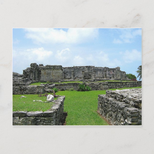 Carte Postale Cozumel Mexique (Devant)