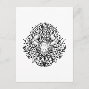 Carte Postale Crabe