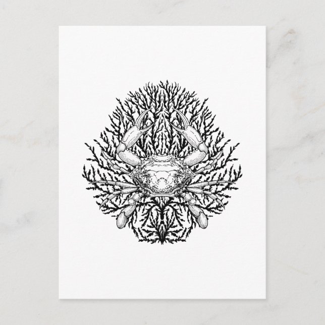 Carte Postale Crabe (Devant)