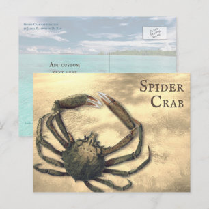 Carte Postale Crabe araignée Illustré Personnalisé Toutes les oc