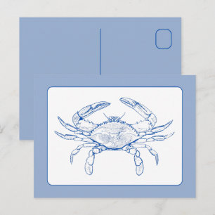 Carte Postale Crabe bleu et blanc côtier
