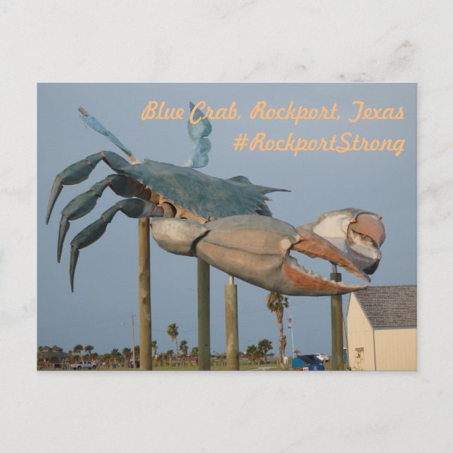 Carte Postale Crabe bleu - Rockport, Texas (Devant)