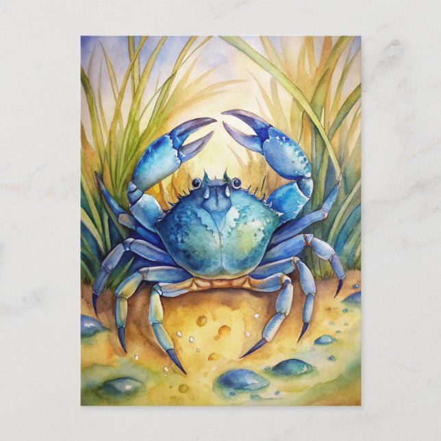 Carte Postale Crabe bleu sur une plage (Devant)
