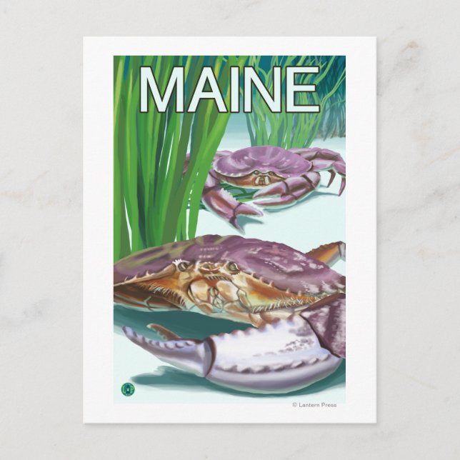 Carte Postale Crabe du Maine et pêcheur (Devant)